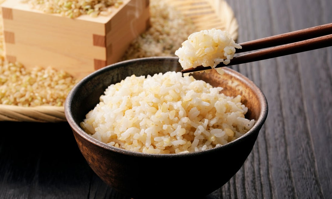 【玄米の特徴と効能】健康的なお米の代表格